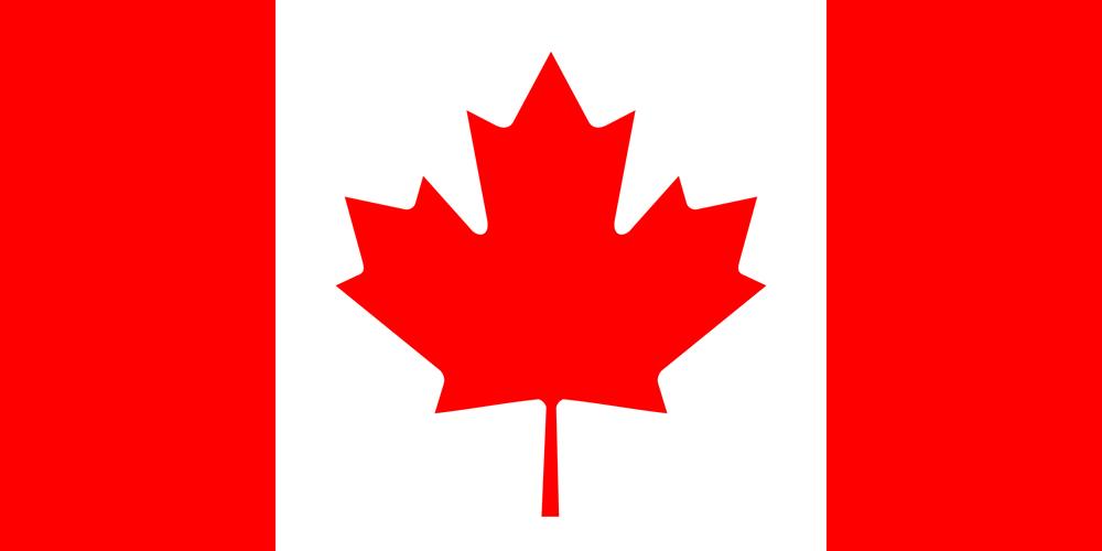canadian flag, vertical stripes red on sides whit in the middle with a red maple leaf in the middle